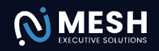Mesh Executive Logo